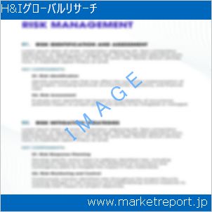 市場と産業調査レポートのイメージ